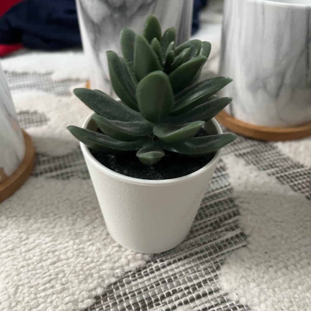 fake plant